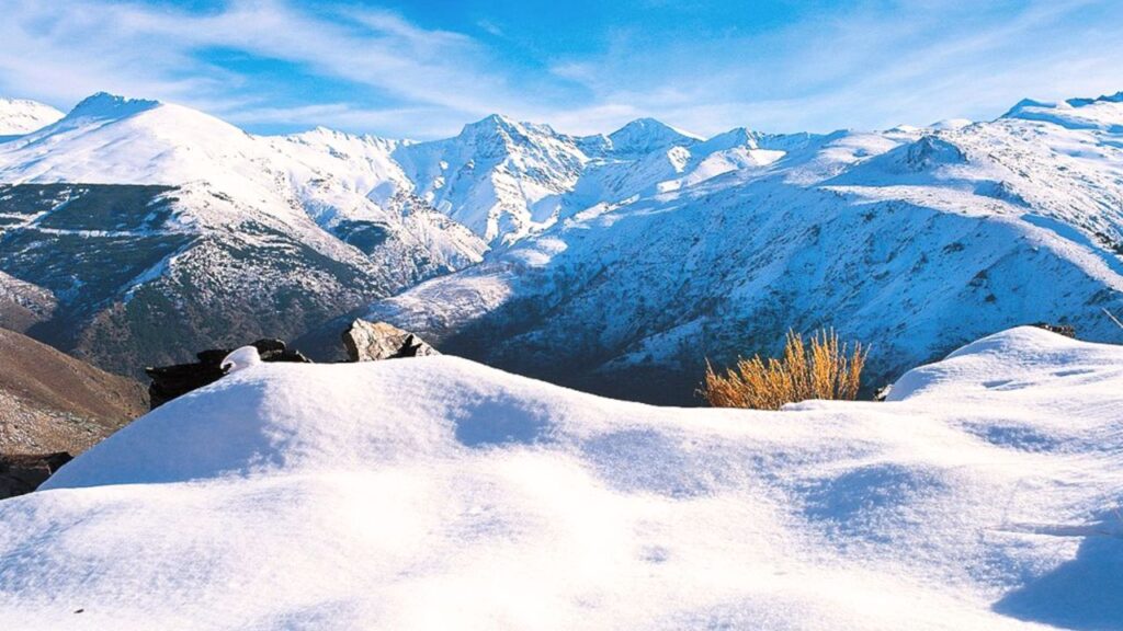 faune hivernale en Espagne : Sierra Nevada Andalousie