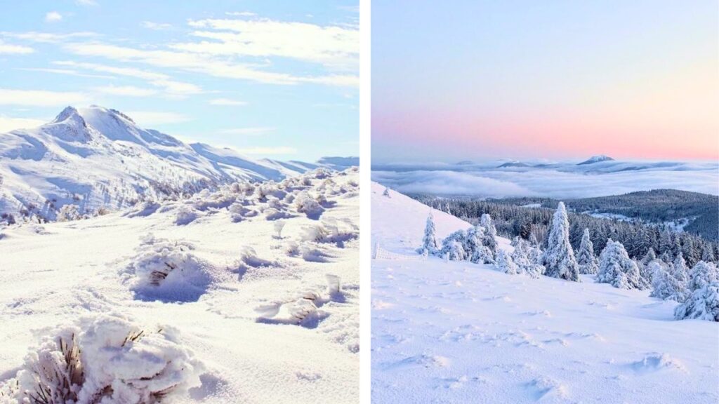 faune hivernale en France : Auvergne