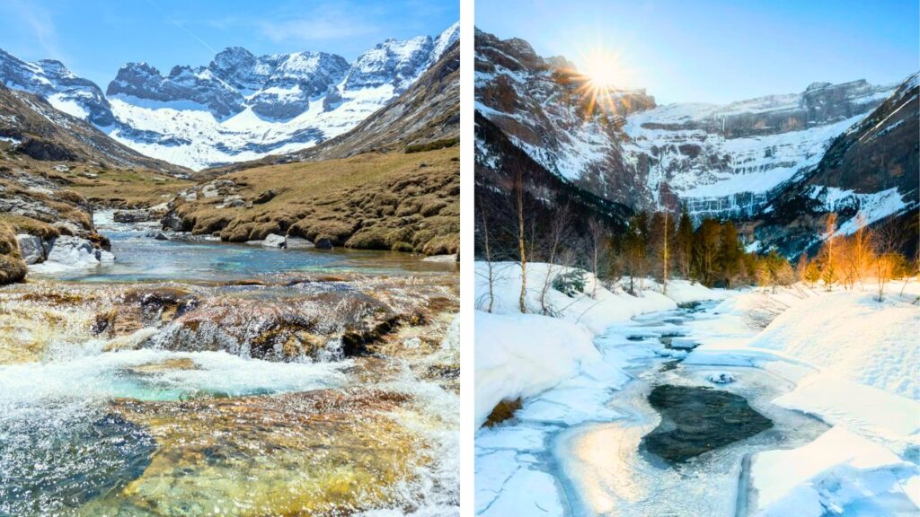 faune hivernale en France : Pyrénées