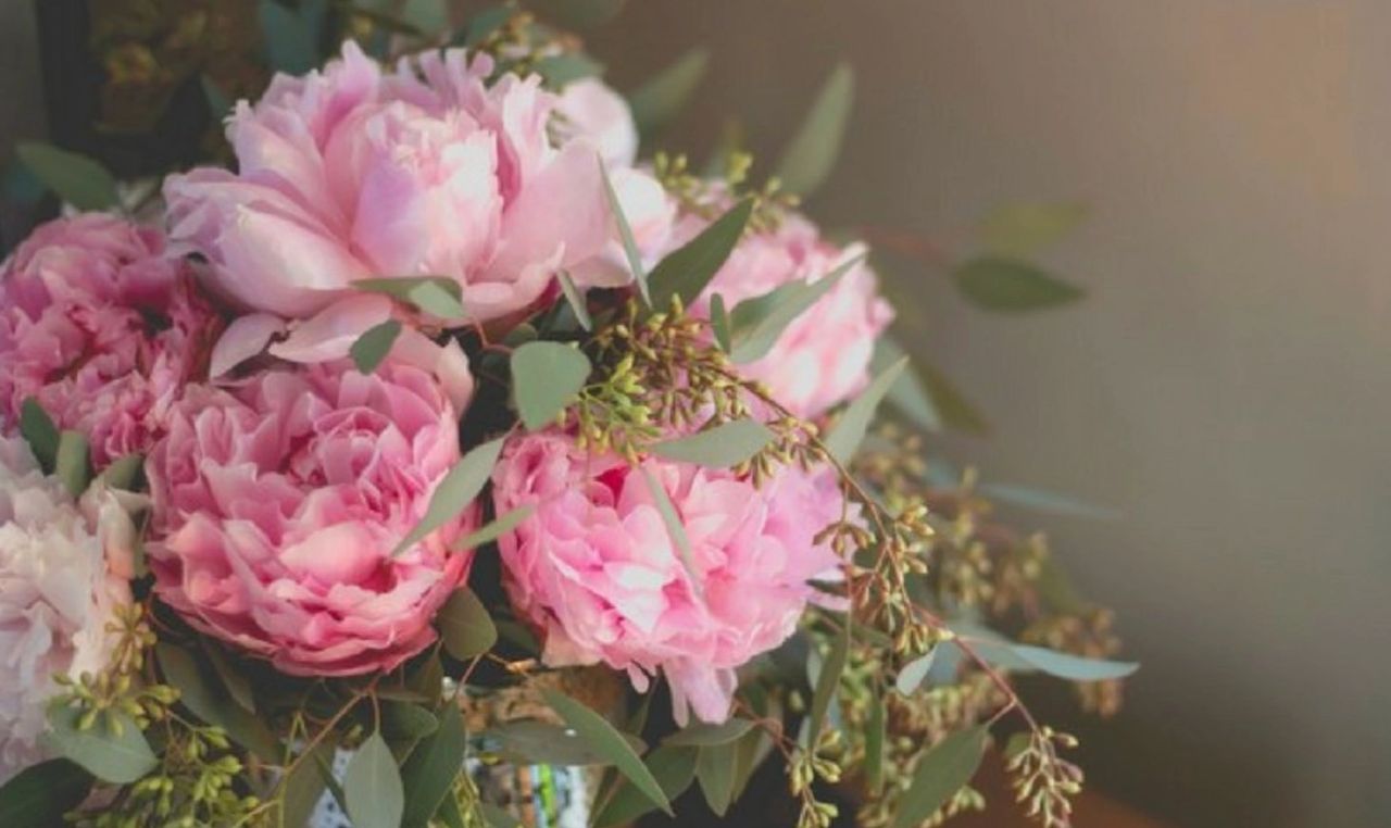 La pivoine à offrir à la Saint-Valentin