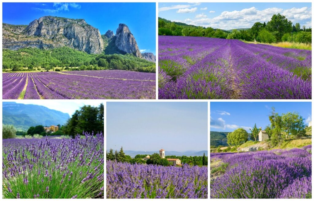 Route de la Lavande - Vallée de la Drôme