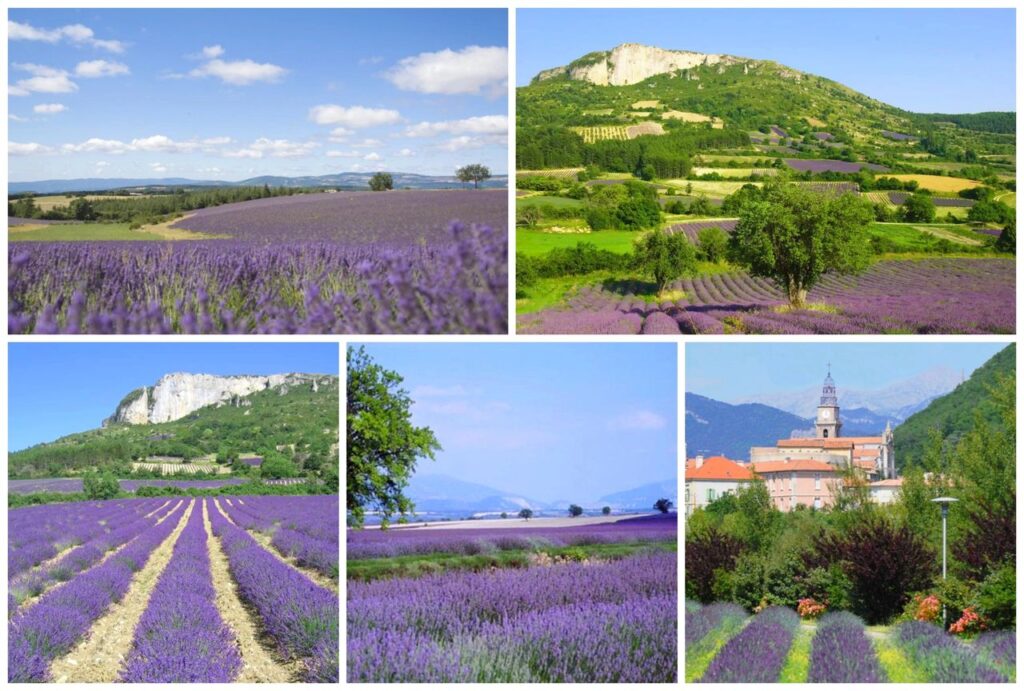 Route de la Lavande - De Digne-les-Bains à Buis-les-Baronnies