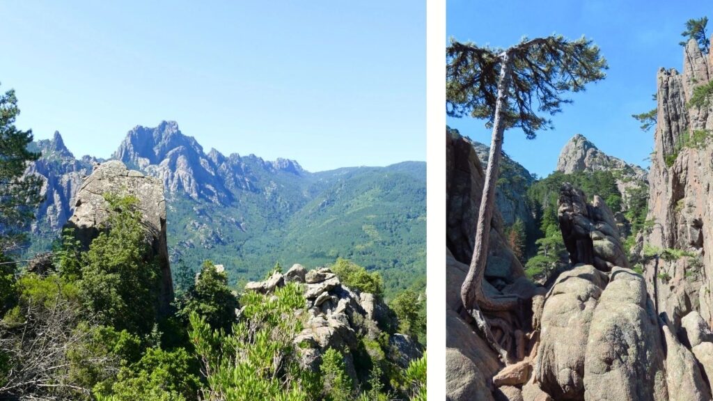 Aiguilles de Bavella Corse Randonnée