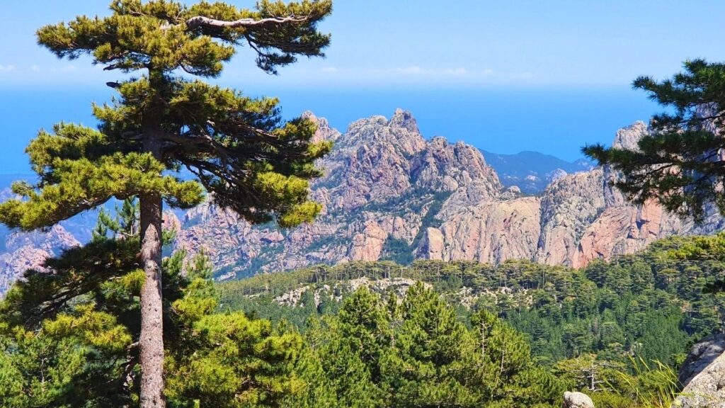 Aiguilles de Bavella Corse Randonnée