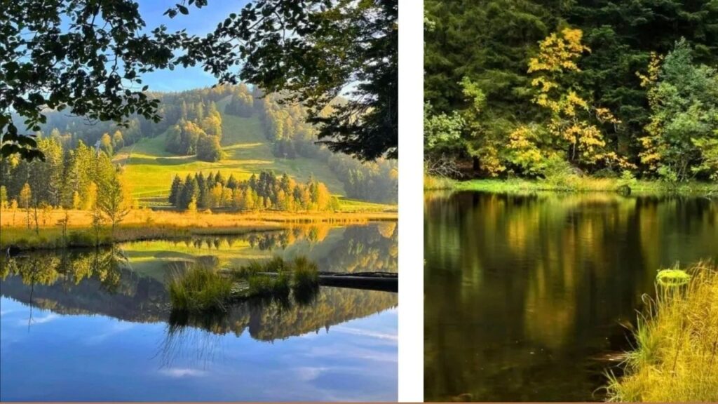 Le lac de Lispach vous charmera avec les couleurs flamboyantes de sa nature en automne.