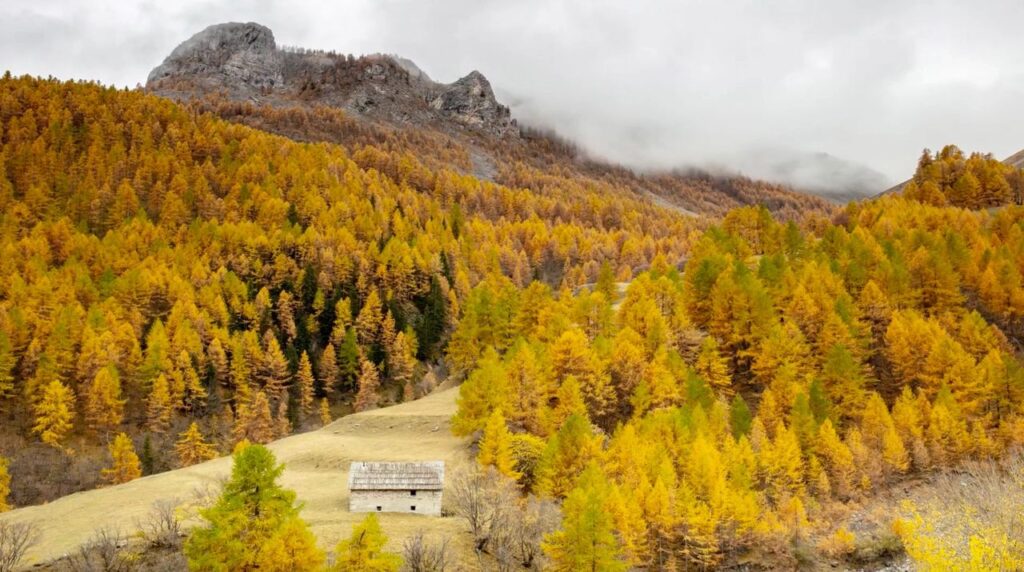 Parc National du Mercantour