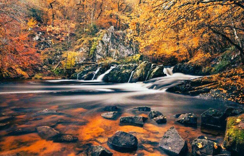 Le Parc Naturel Régional du Morvan en automne