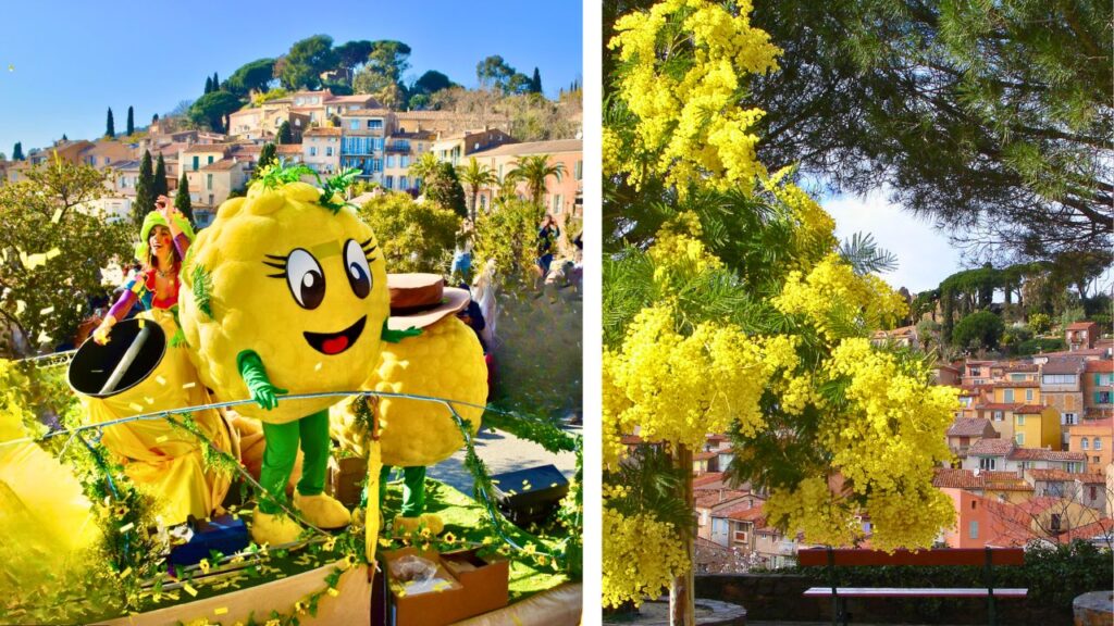 Le Corso Fleuri de Bormes-les-Mimosas