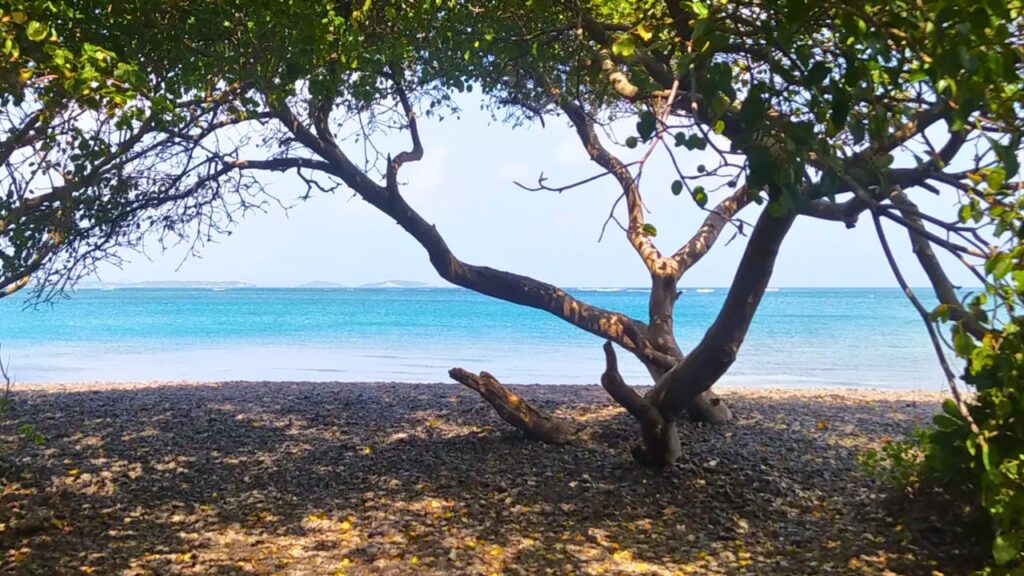 Randonnée Le Vauclin - Martinique - Trou cochon