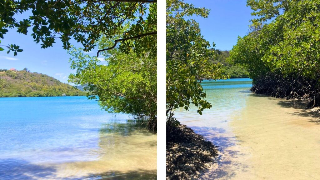 Randonnée Le Vauclin - Martinique - Trou cochon