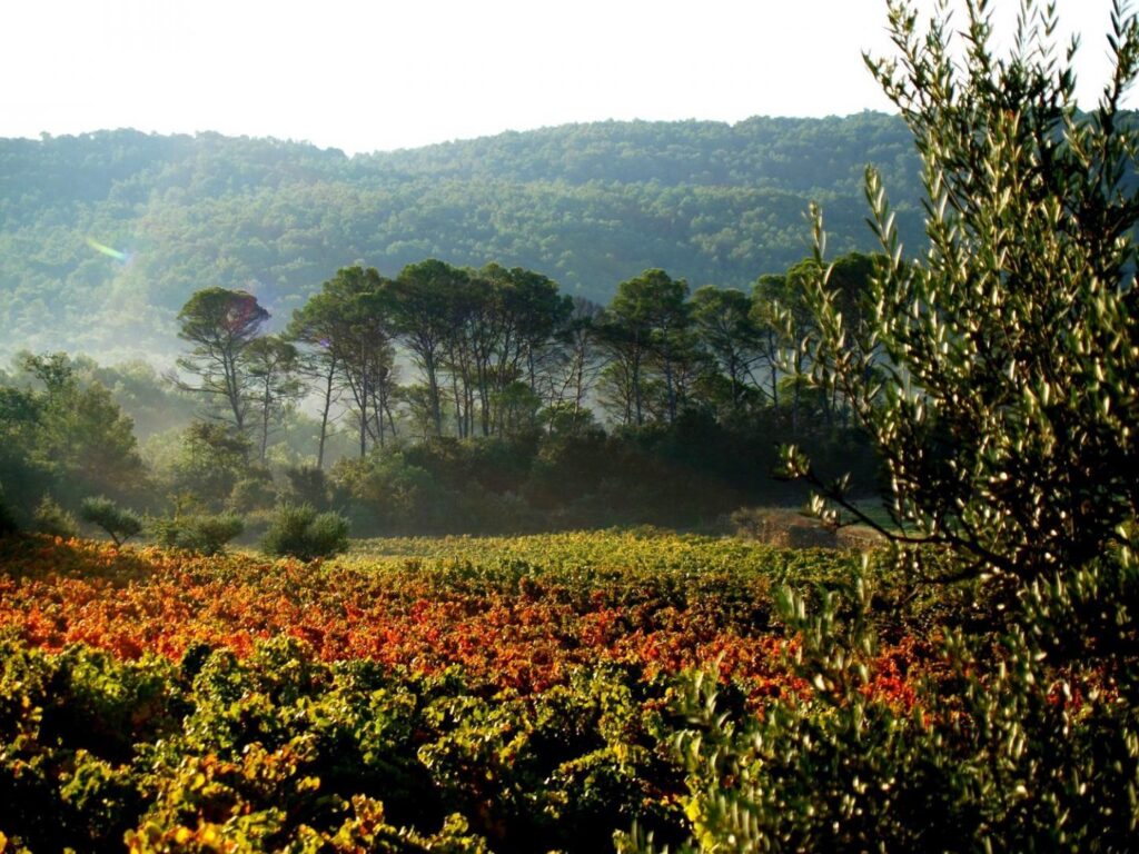 Chambres d'hôtes sur la route des Vins de Provence