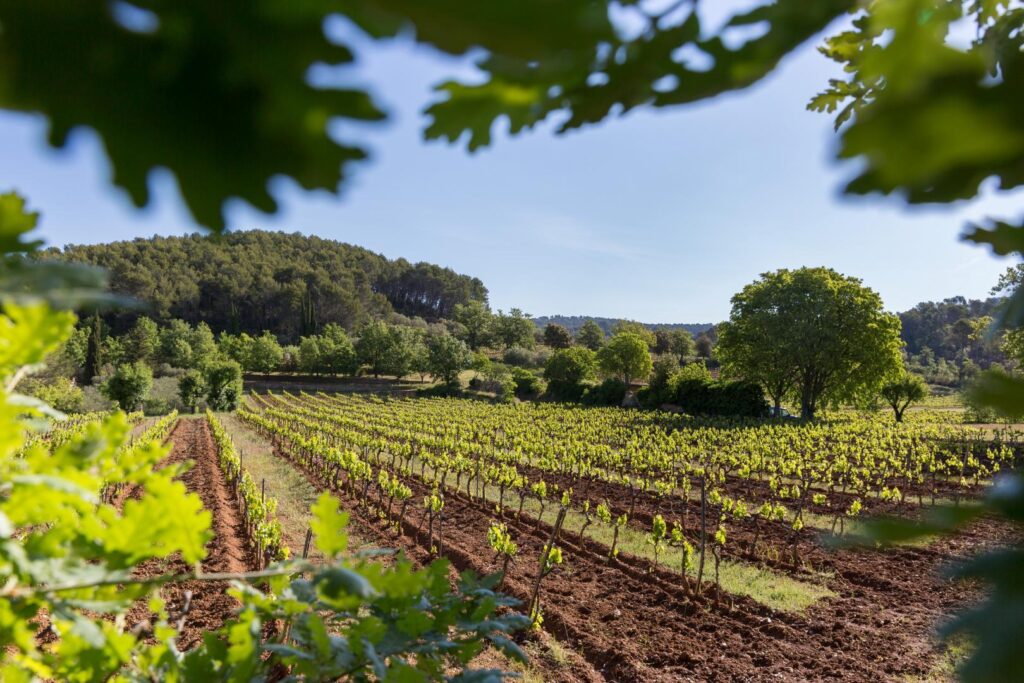 Chambres d'hôtes au coeur du vignoble Var Provence