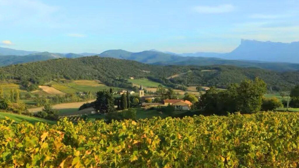 Suze la Rousse vignoble Côtes du Rhône