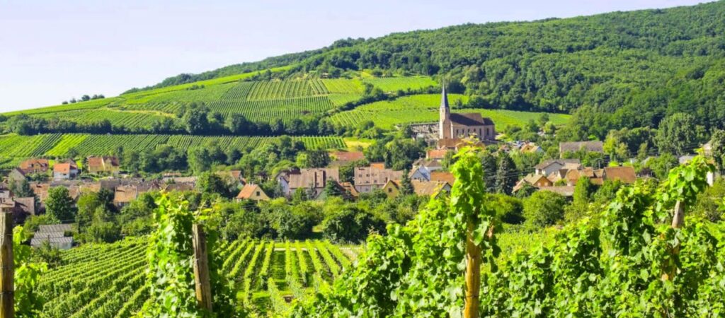 Andlau - Sur la Route des Vins d'Alsace