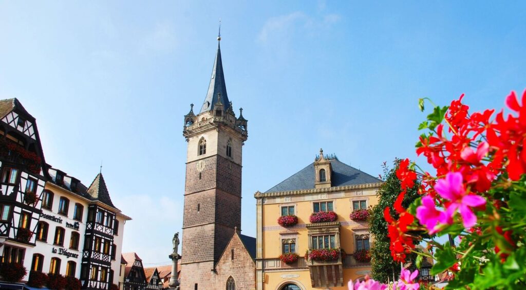 Obernai - La Route des Vins d'Alsace