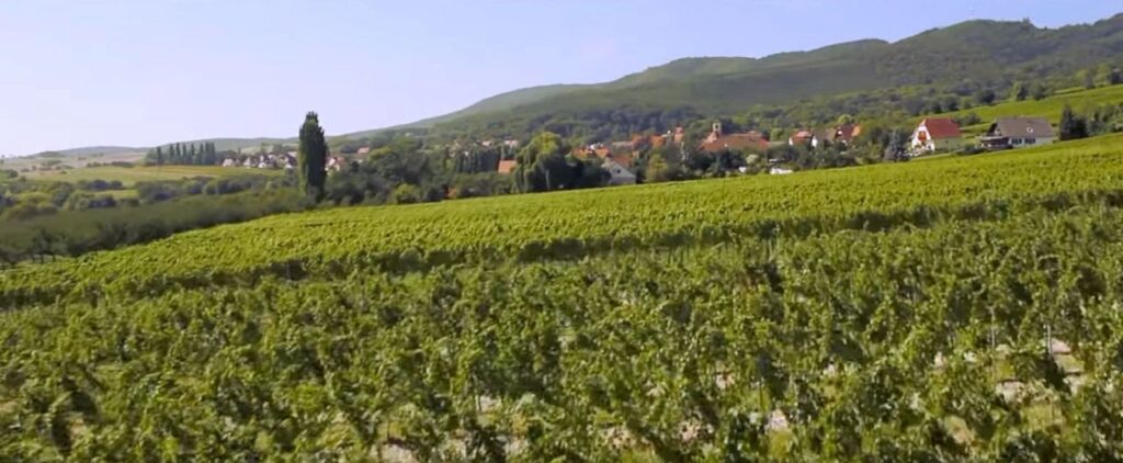 Hunspach - La Route des Vins d'Alsace