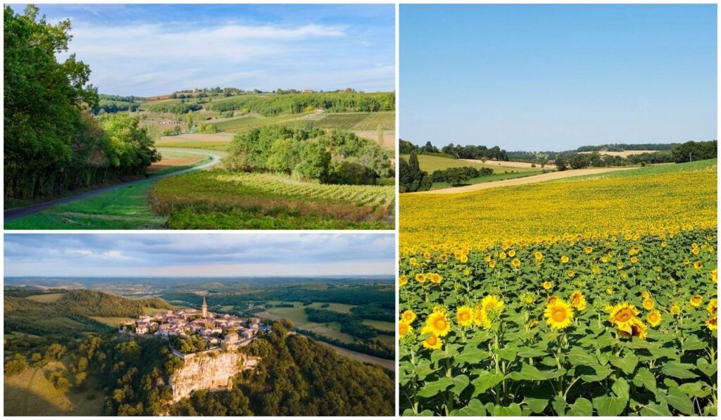 Route des Vins de Gaillac dans le Tarn