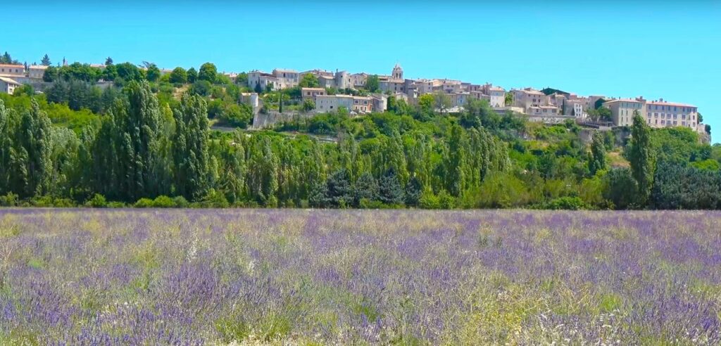 Sault - Haut lieu de la lavande fine en Provence