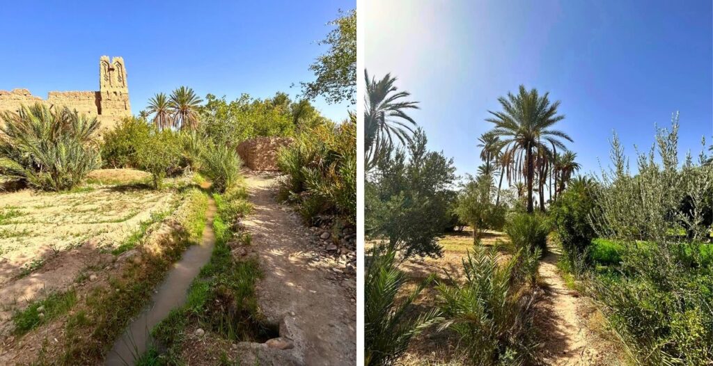 Oasis de Skoura Maroc