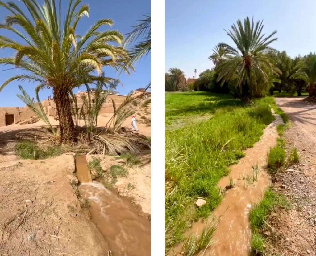 Oasis de Skoura Maroc