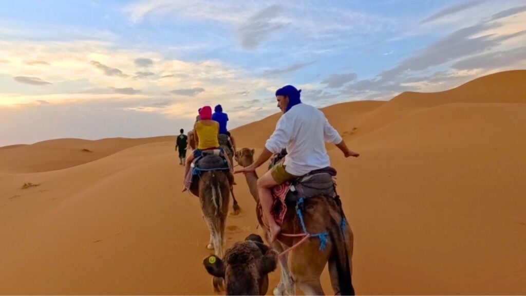 Balade à dromadaire désert Sahara Merzouga Maroc