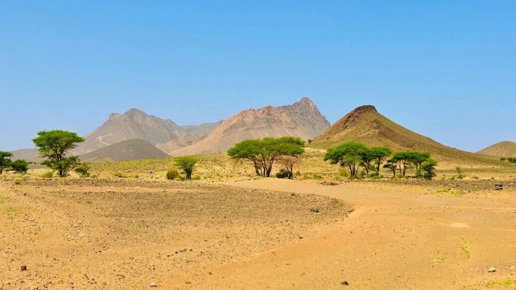 Paysage du Maroc