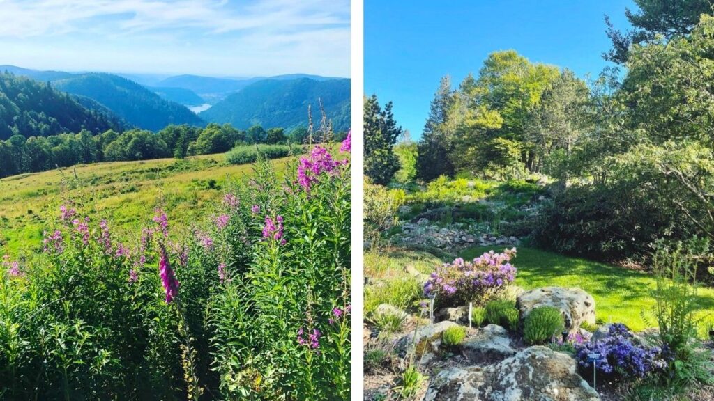 Route des Crêtes Alsace