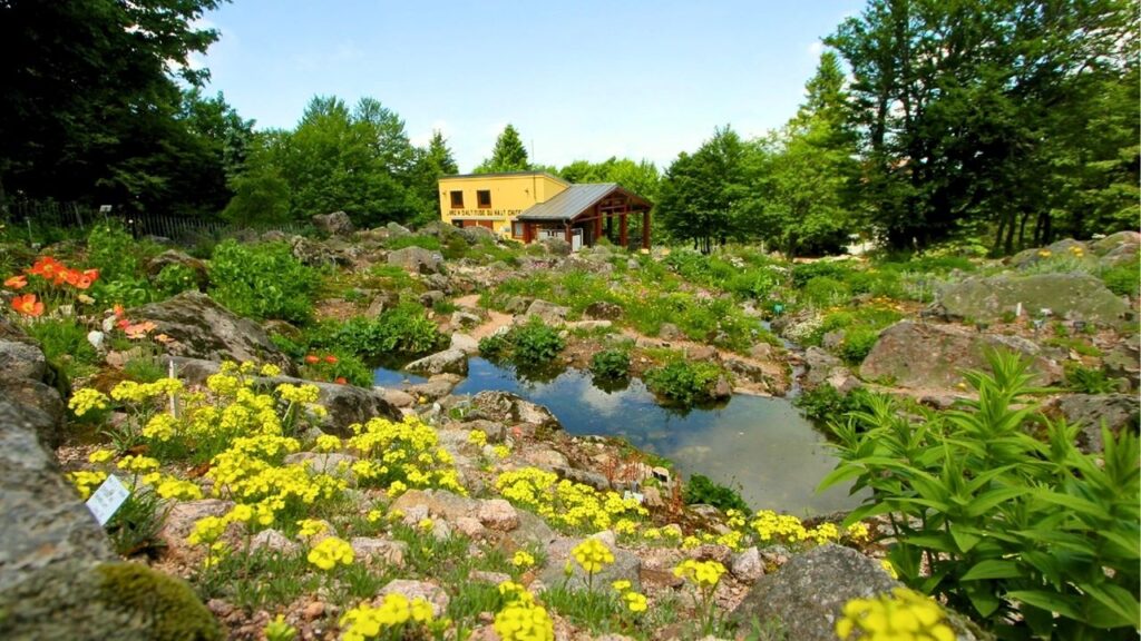 jardin d'altitude du Haut-Chitelet