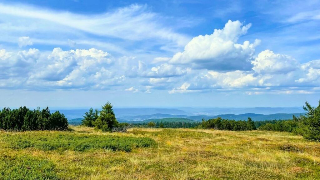 réserve naturelle du Tanet-Gazon du Faing