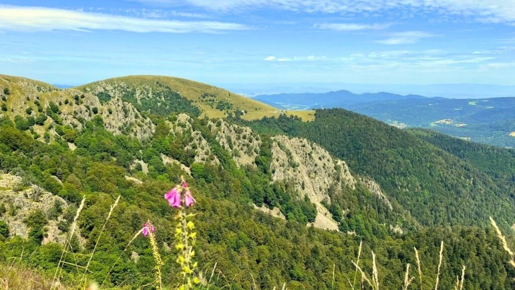 sentier des Roches Alsace