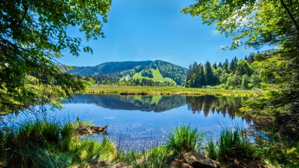 lac de Lispach Alsace