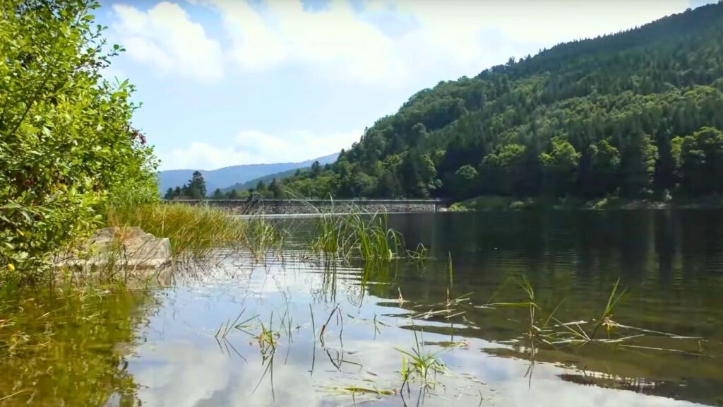 Lac de La Lauch Alsace