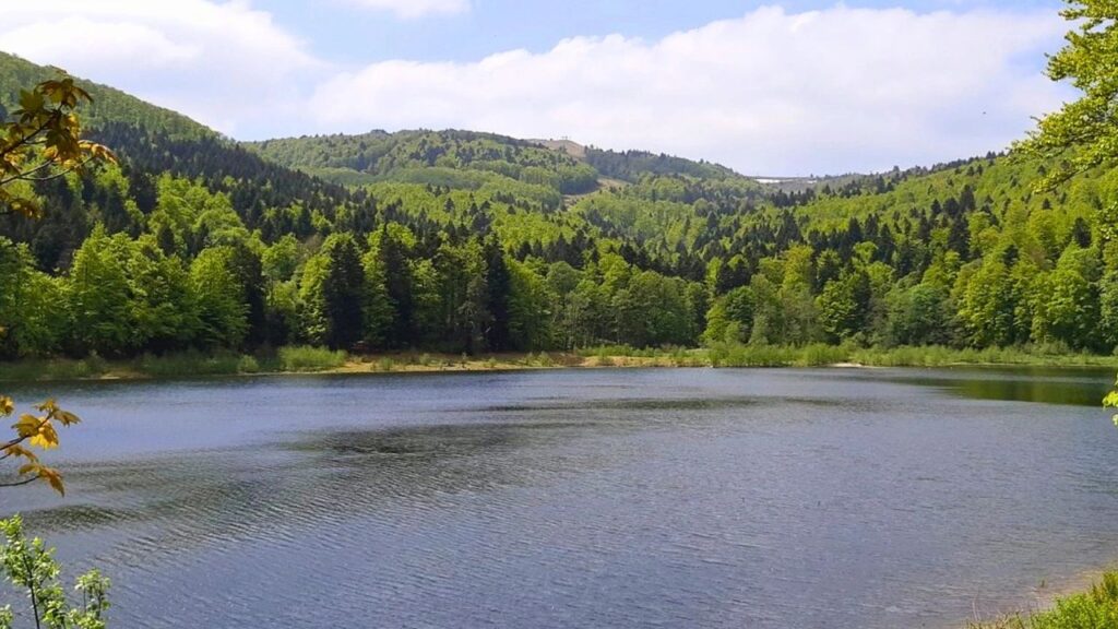 Lac de La Lauch Alsace