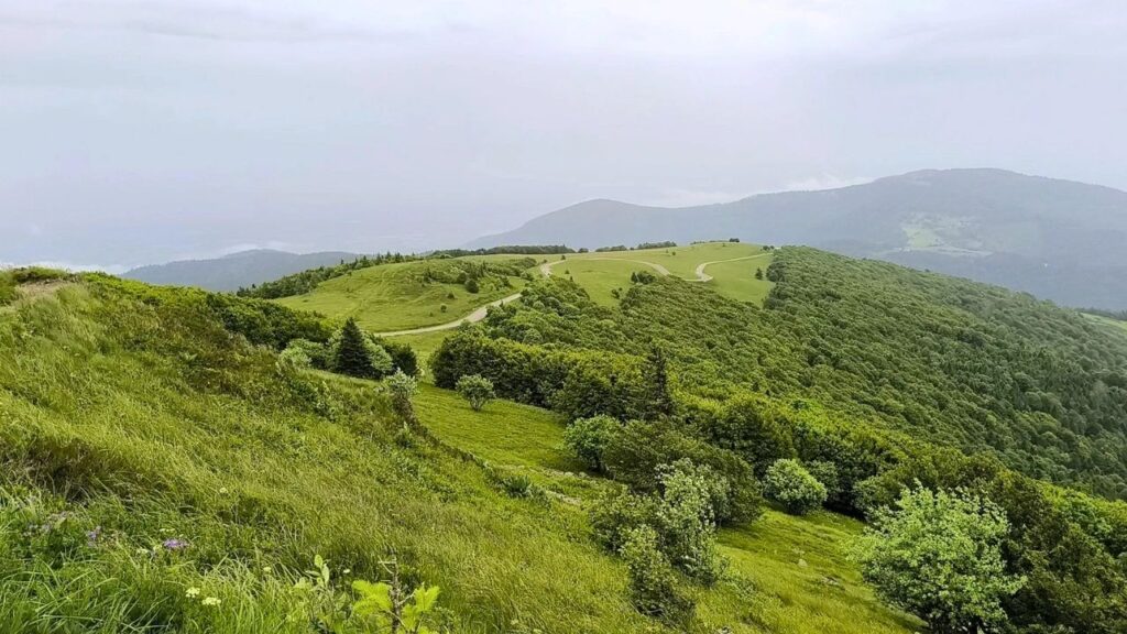 Le Grand Ballon Alsace