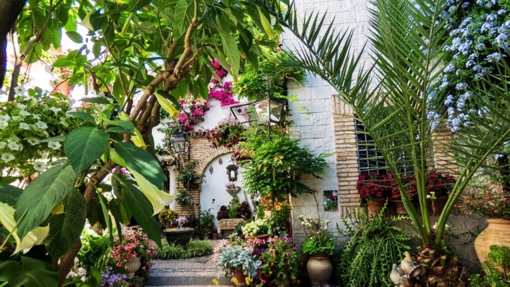 fête des Patios de Cordoue