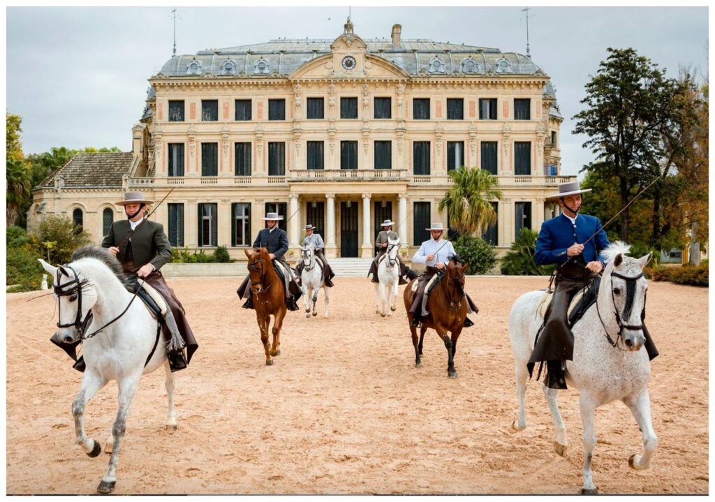 Comment dansent les chevaux andalous