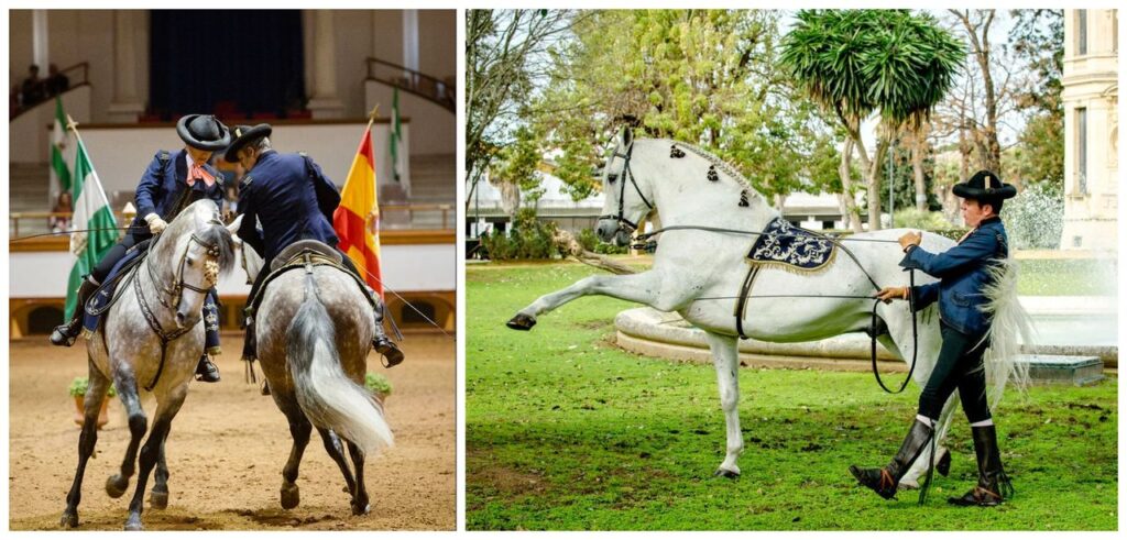 Ecole Royale d'Art Equestre de Jerez