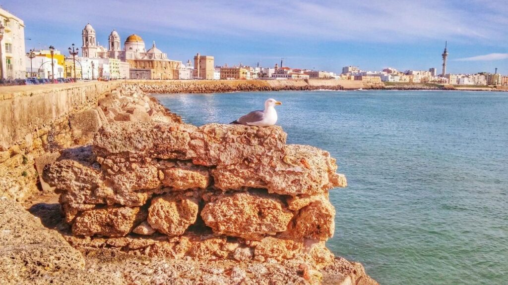 Cadix bord de mer