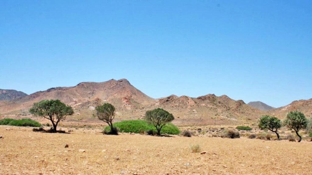 Parc Naturel de Cabo de Gata