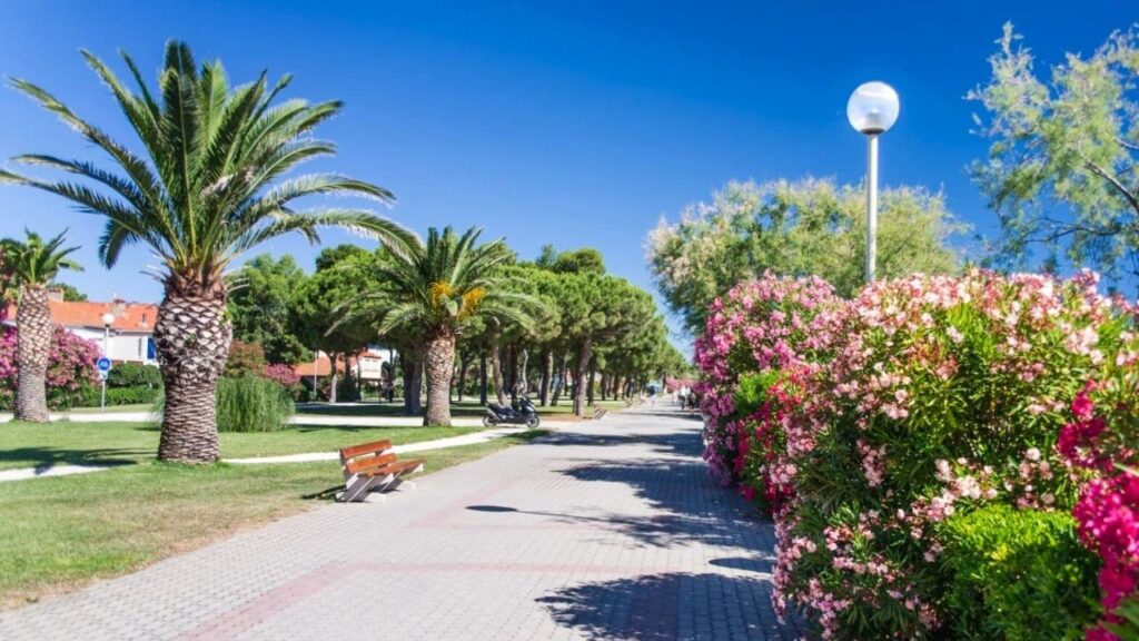 Argelès-sur-Mer Côte Vermeille