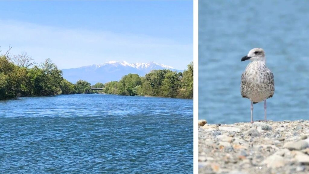 Réserve naturelle du mas Larrieu Vue sur le Canigou