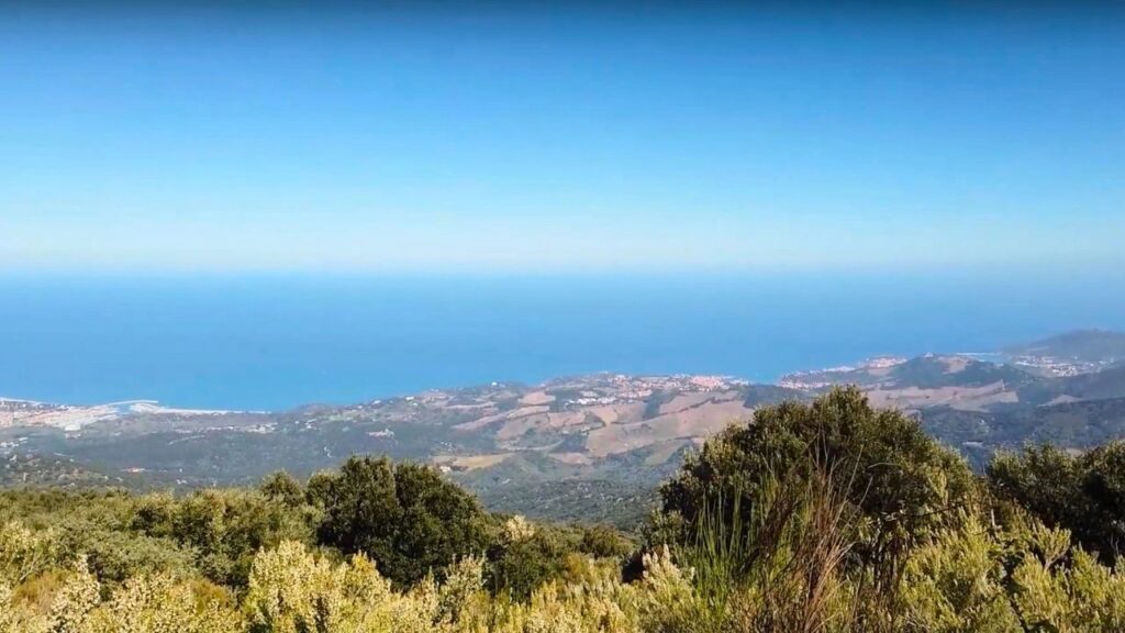 La Tour de la Massane Argelès sur mer