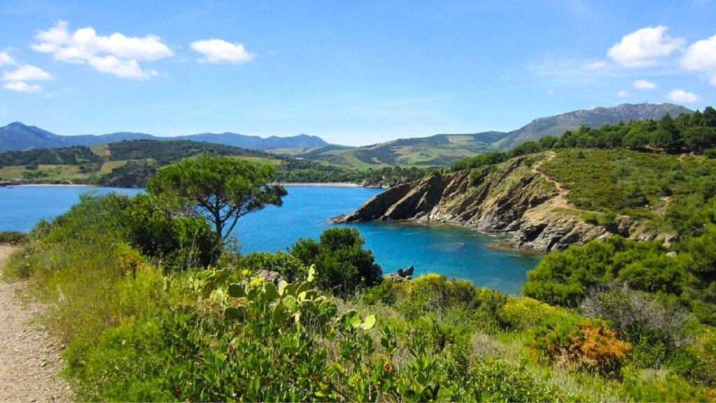 l'Anse de Paulilles à Port-Vendres Côte Vermeille