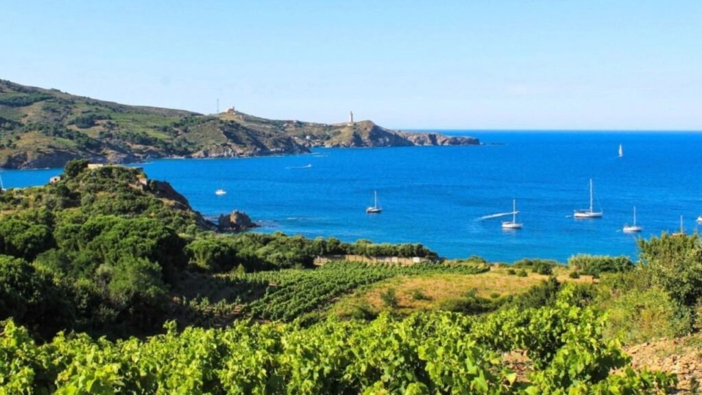 Vignoble de Banyuls Collioure Côte Vermeille