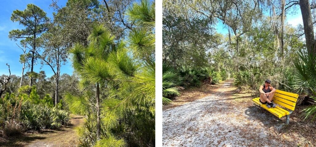 Randonnée Réserve de Guana Tolomato Matanzas Floride