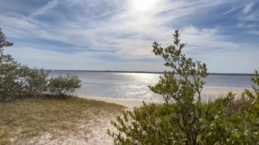 Randonnée Réserve de Guana Tolomato Matanzas Floride