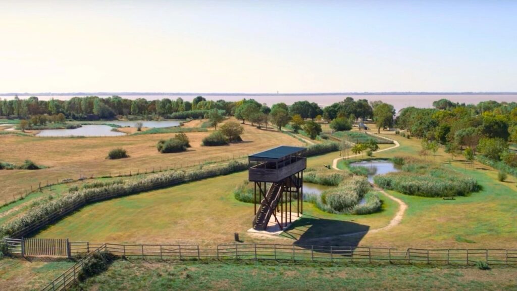 Terres d'oiseaux à Braud-et-Saint-Louis