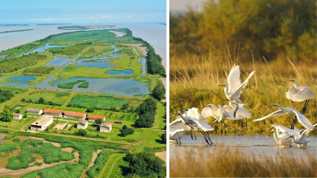 L'Île Nouvelle Gironde