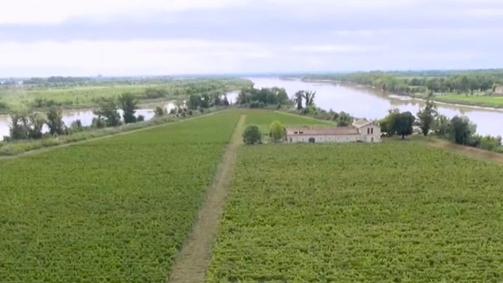 L'ile Margaux Gironde