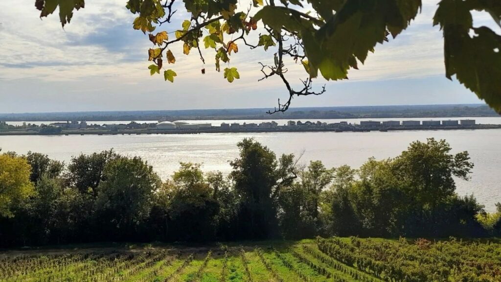 Route de la Corniche Gironde Fenêtres sur l'estuaire